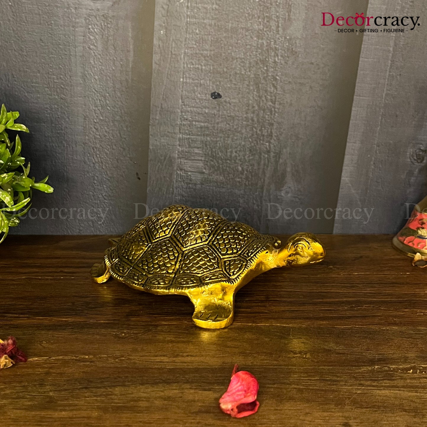 Tortoise Golden Metal golden