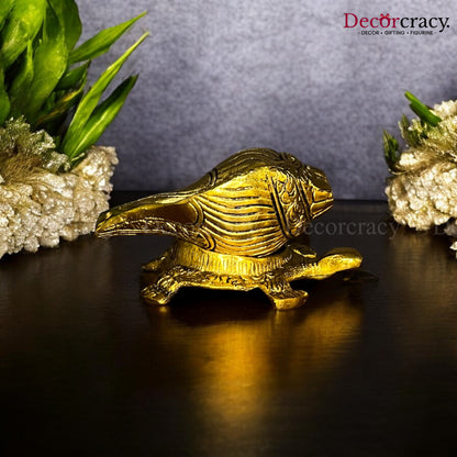 Shank Tortoise Metal golden